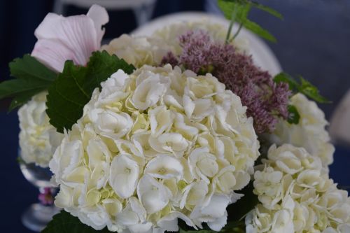 hydrangea wedding flowers white hydrangea