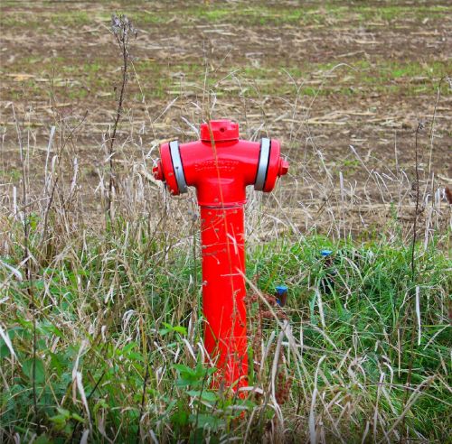 hydrant red grass
