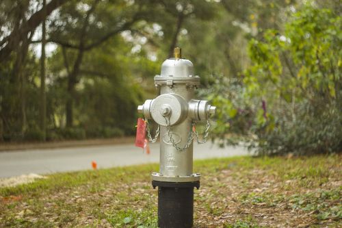 hydrant silver bokeh