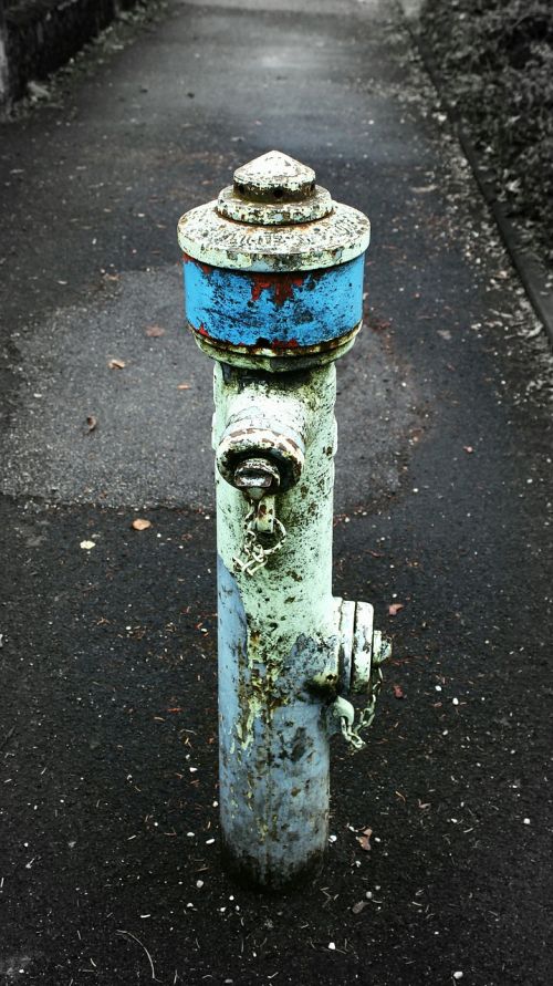 hydrant old blue