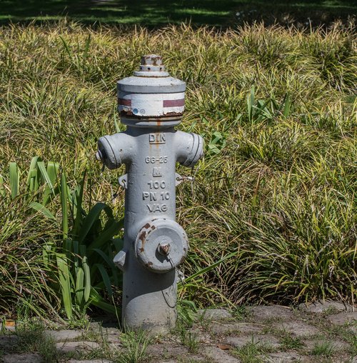 hydrant  water  grass