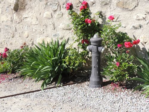 hydrant flowers wall