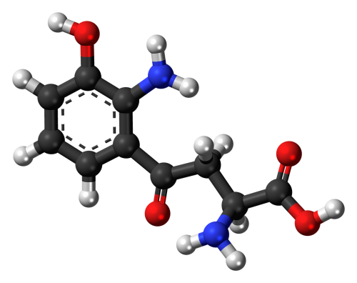 hydroxykynurenine molecule chemistry