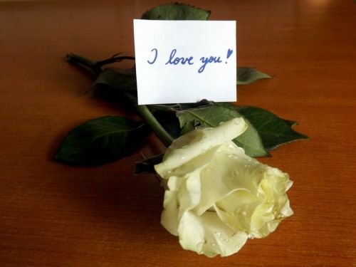 i love you rose message