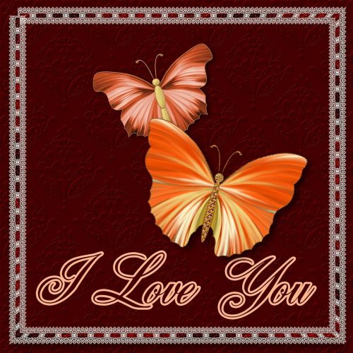 i love you butterflies greeting