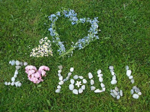 i love you heart grass flowers