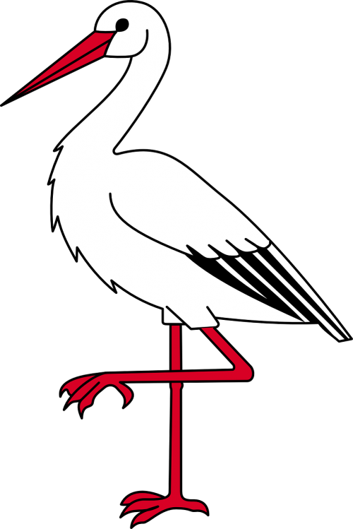 ibis bird long