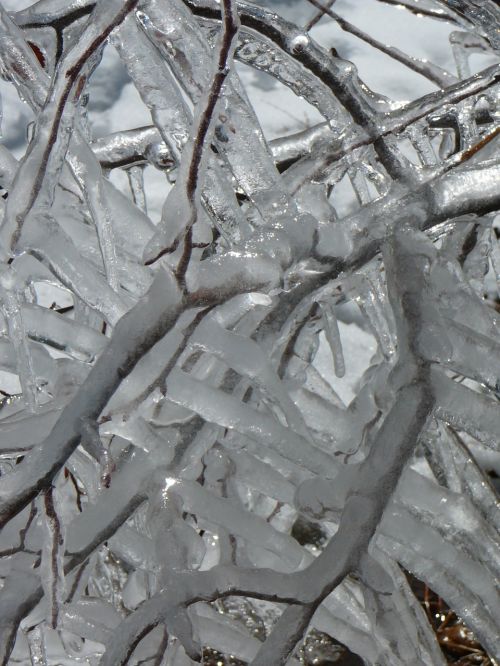 ice icicles winter