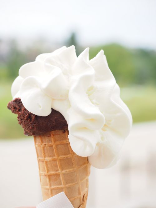 ice soft ice cream waffle ice cream