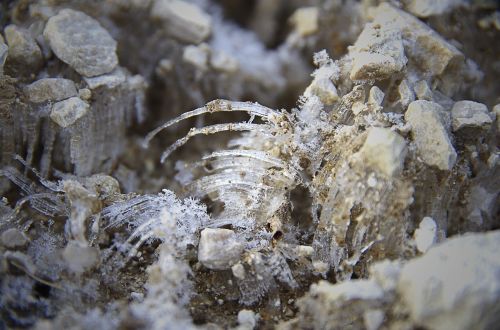 ice rocks macro