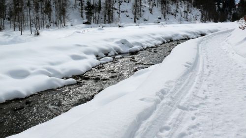 ice eiskristalle winter