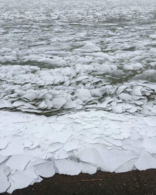 ice winter coast