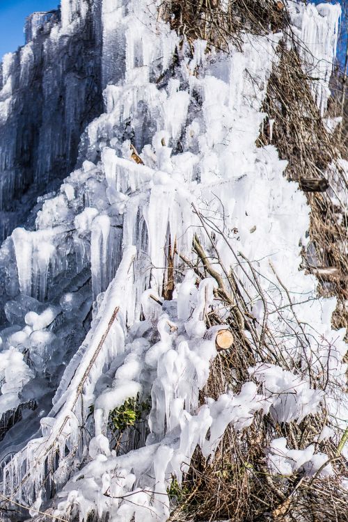 ice branch icicles