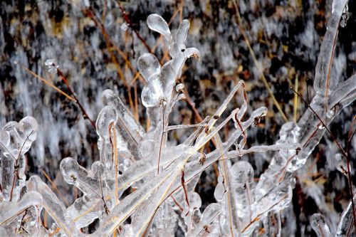 ice crystals winter