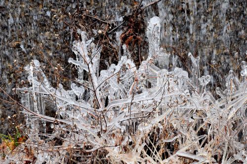 ice crystals freezing