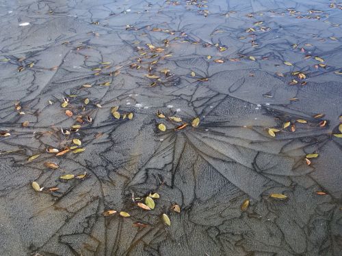 ice puddle lake