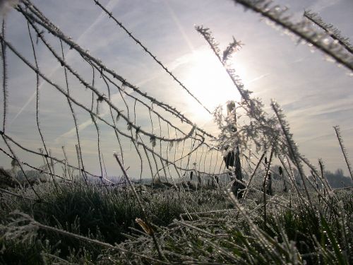 ice winter fence