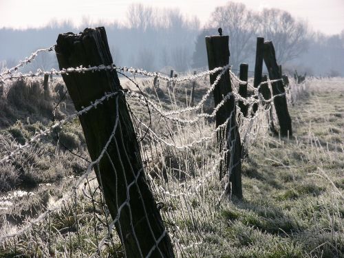 ice winter fence