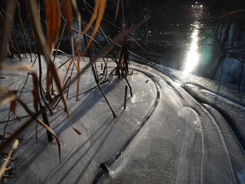 ice pond winter