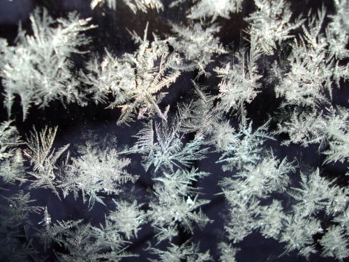 ice crystals frozen