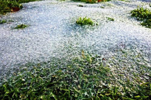 ice frozen frozen grass