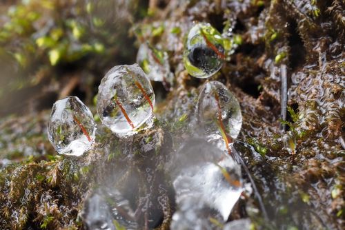 ice water drops