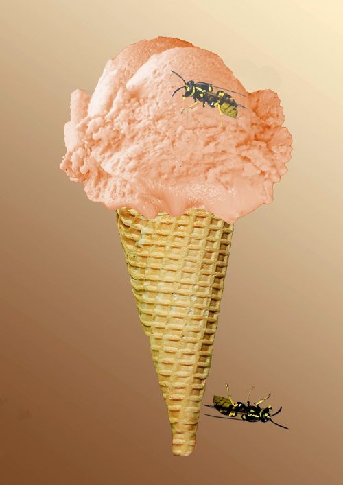 ice ice cream cone waffle