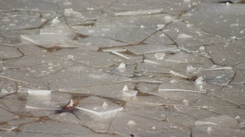 ice  plaice  pond