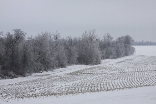 ice  snow  landscape