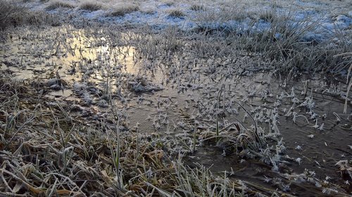 ice  winter  morning