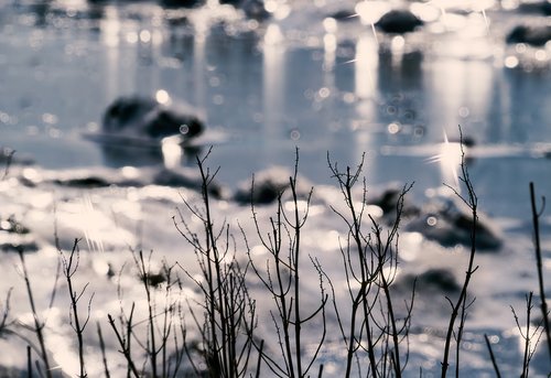 ice  bay  water