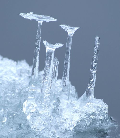 ice icicle cold