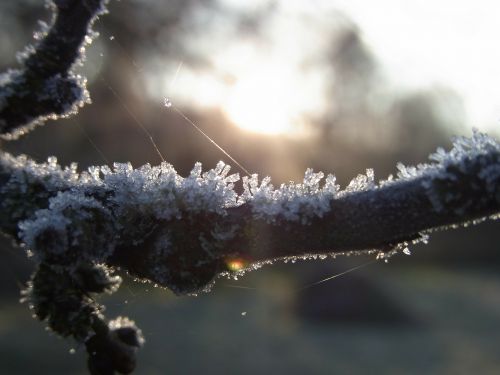 ice crystals winter