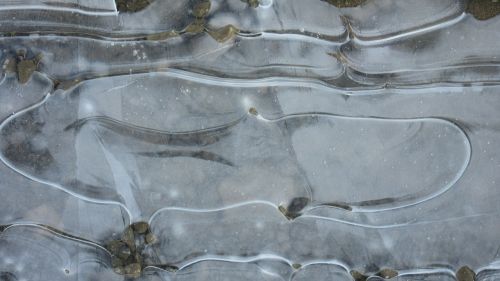ice frozen puddle