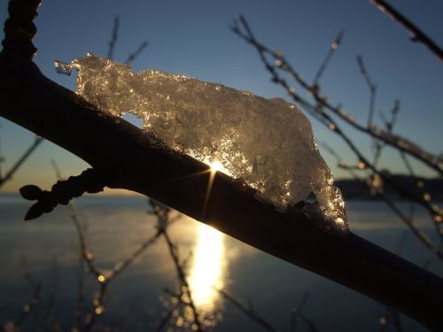ice sunset branch