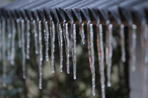 ice icicle winter