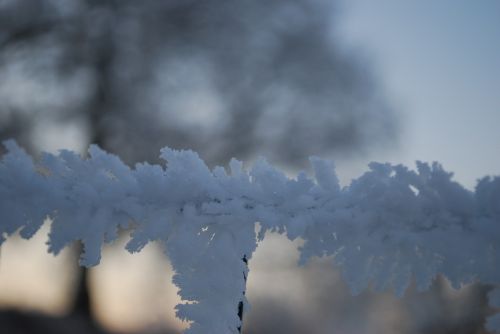 ice frost ice crystals