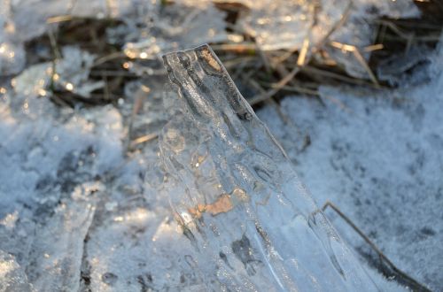 ice sculpture winter