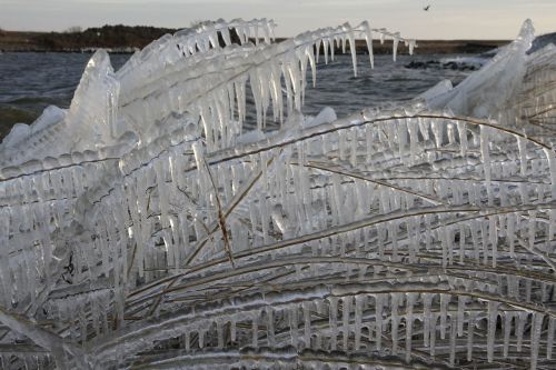 ice winter ijsselmeer