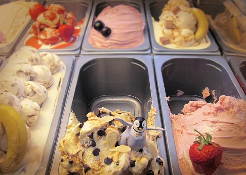 ice cream penguin fridge