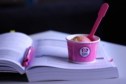 ice cream book dessert