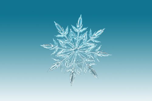 ice crystal crystal snowflake