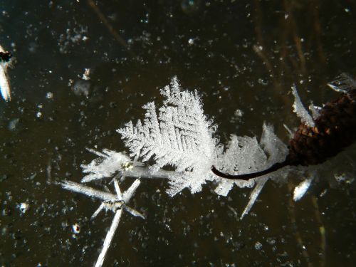 ice crystal ice frozen