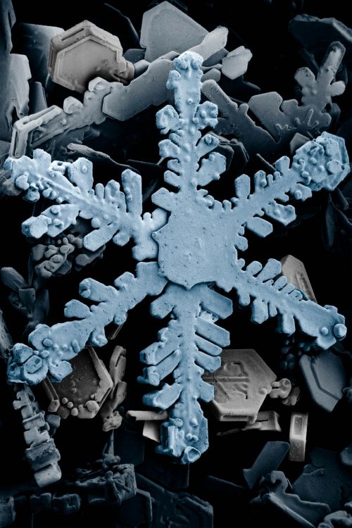 ice crystal crystals snow