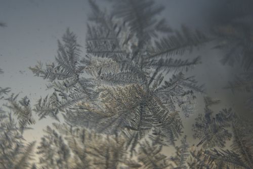 ice crystals ice winter