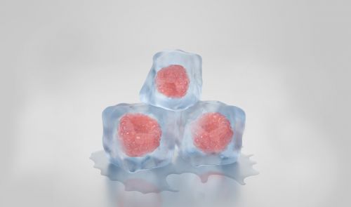 ice cubes raspberries berries