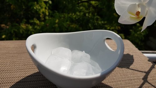 ice cubes  shell  summer