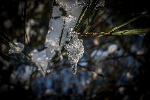 ice drop frozen winter