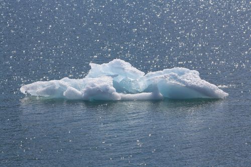 ice floe sea arctic