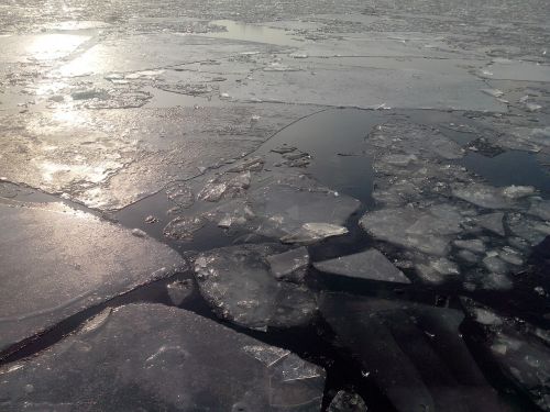 ice floes sun nature